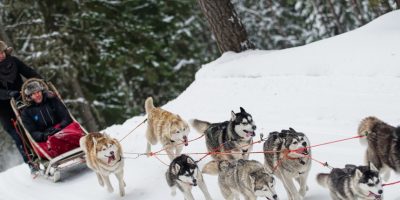 Winter holidays in Estonia